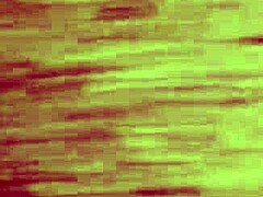 amigo oliendo lencería