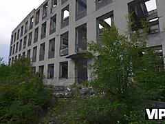 Intense Passion Echoes