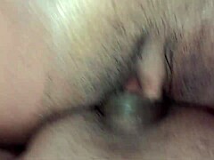 amateur anal creampie