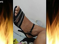 Jade Brunette Spectacle