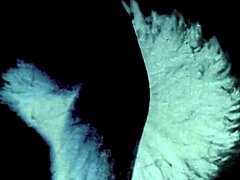 Vintage Hairy Mature Porn