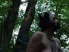 Ponygirl forest bondage