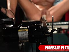 妮娜·艾尔被操到尖叫