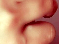 Wife Swallows Cum