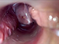 Pulsating Vagina Orgasm