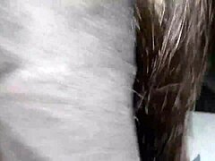 neighbor pussy pound