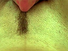 Hairy Pussy Lick