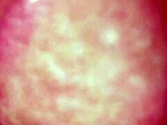 college blowjob fame