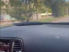 Roadside Cum Swallow