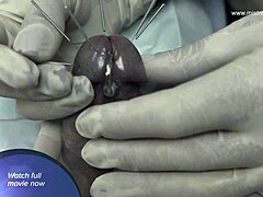 Medical Penis Torment